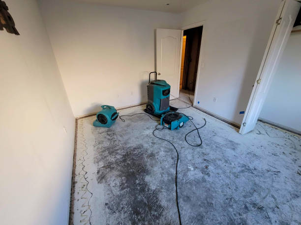 Best Basement water damage restoration  in Oradell, NJ