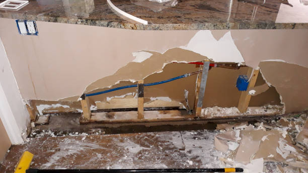 Best Water damage contractors near me  in Oradell, NJ