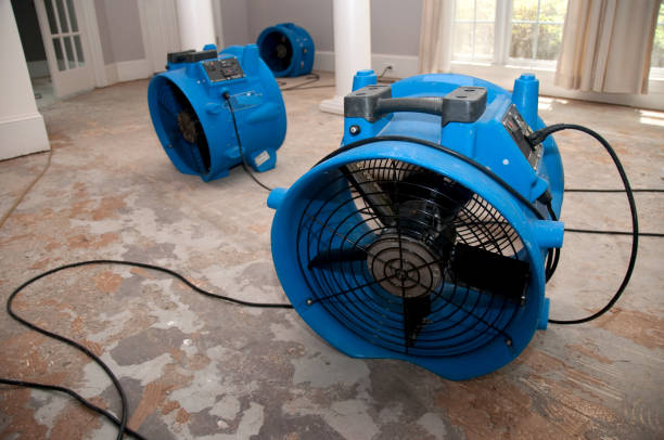 Best Water damage restoration services  in Oradell, NJ