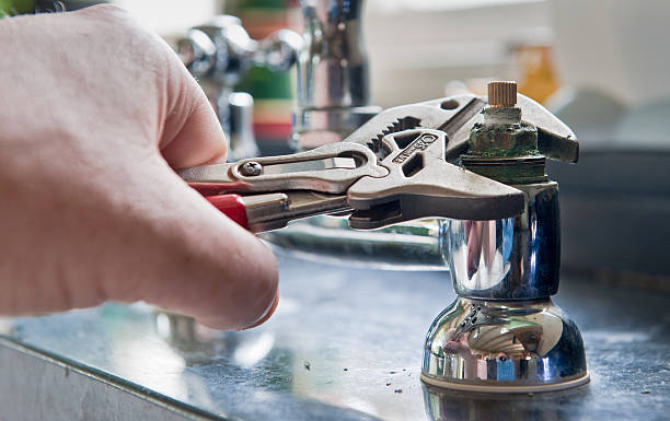 Best Mold removal after water damage  in Oradell, NJ