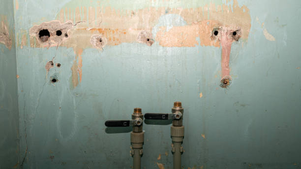 Best Water damage repair service  in Oradell, NJ