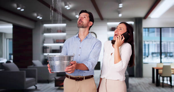 Best Water damage cleanup near me  in Oradell, NJ