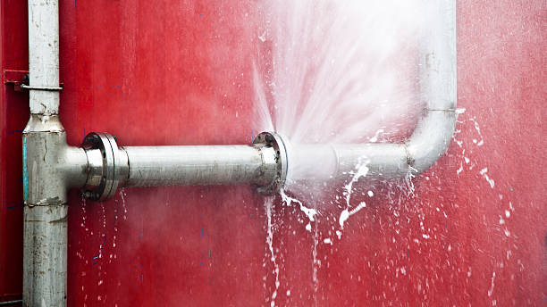 Best Professional water damage repair  in Oradell, NJ